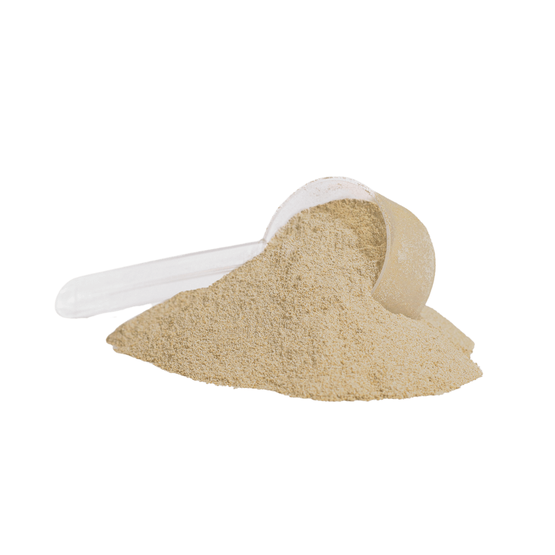 FOUNDATION