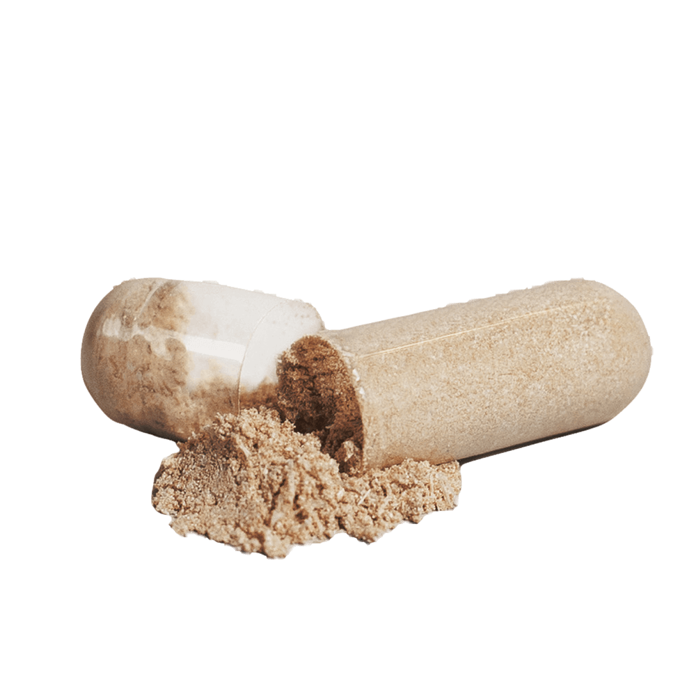 ROOT
